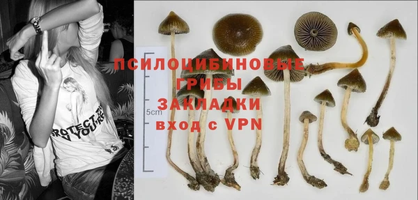ALPHA-PVP Магас